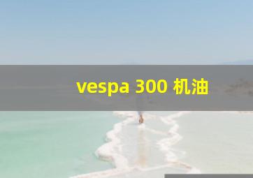 vespa 300 机油